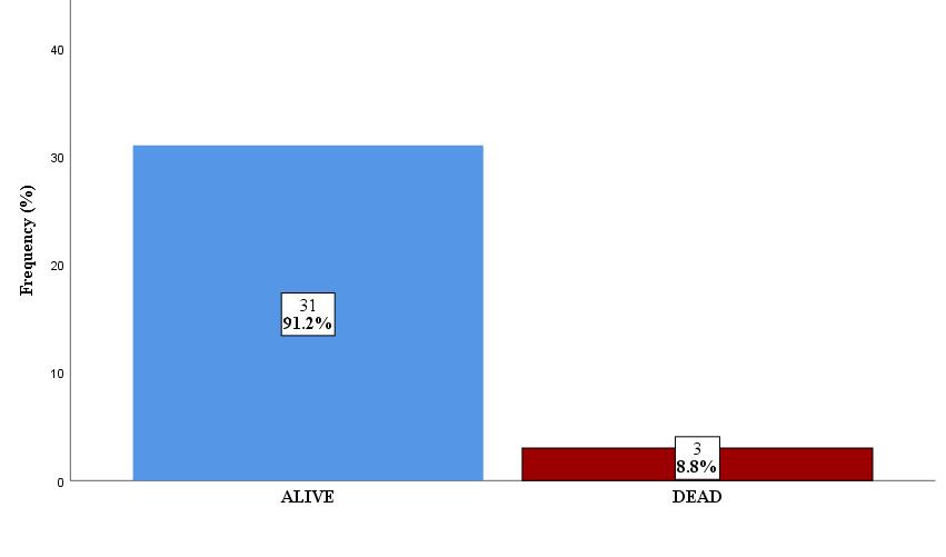 Figure 1: Mortality outcome among participants